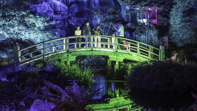 Garden Glow at Maymont, with vibrant green lights on the walking bridge. Image by Dave Parrish.