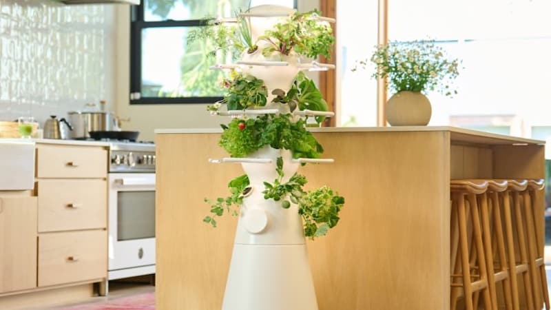 Hydroponic garden from Lettuce Grow. For article on inexpensive home upgrades