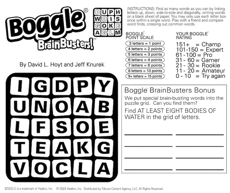 Boggle word search, this week a watery puzzle - find bodies of water