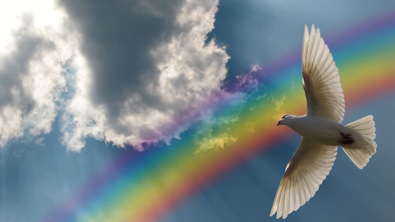 A dove and rainbow and cloud in a blue sky. Representing a week of Religious Freedom Day, MLK Day, and More What’s Booming RVA: January 11 to 18, 2024, in Richmond, VA