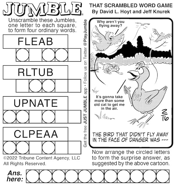 Classic Jumble with a bird, paired with a kids' Jumble on camping