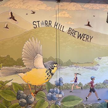 Mural at Starr Hill Brewery's Roanoke location highlights the beauty of the nearby mountains, the wildlife, and the riverside trail for walkers, runners, and cyclists.