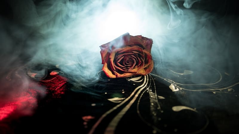 A wilted rose suffused in smoke, to signify a bad romance. By Ilkin Guliyev