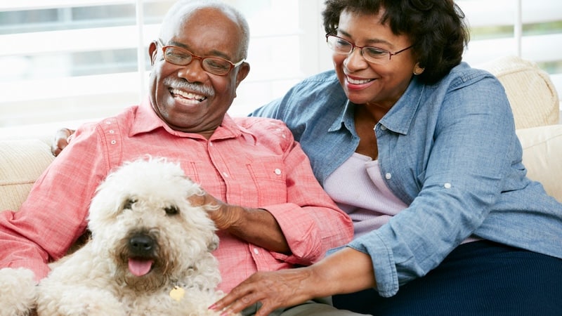 couple on sofa with their dog. image by Monkey Business Images. Article: does a dog get jealous?