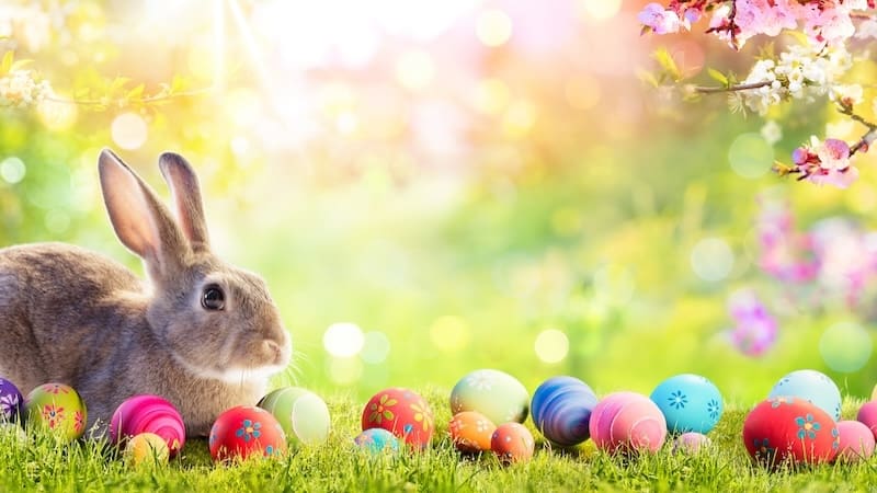 Easter bunny and eggs against a spring background. For What's Booming, March 28. Image by Romolo Tavani