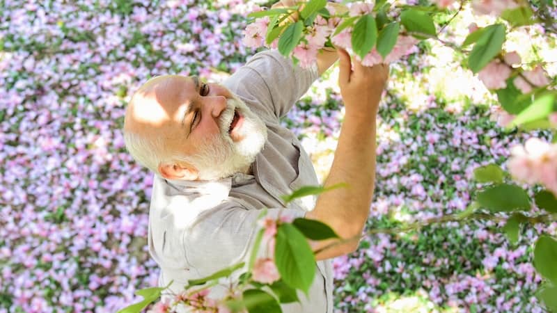 A man smelling flowers, illustrating how sense of smell can elicit memories. Image by Photosvit