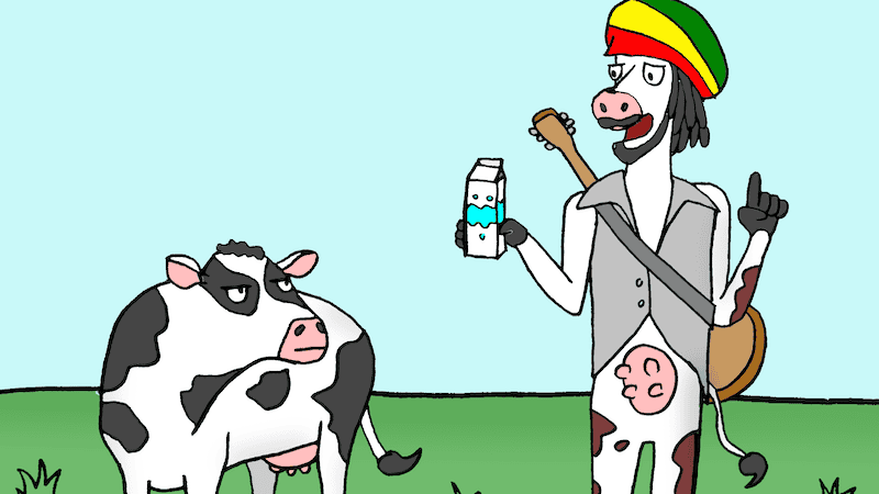 Rastafarian dressed cow, standing on two hind legs, drinking a carton of milk. Name That Caption May 2024