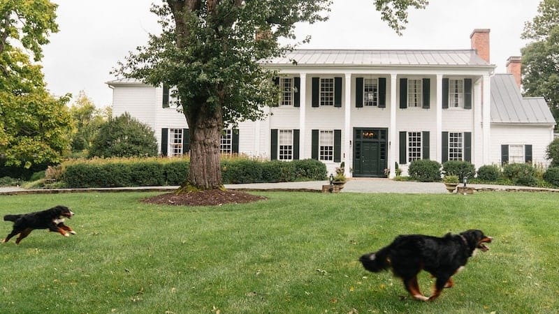 The Clifton manor house with two dogs running in front