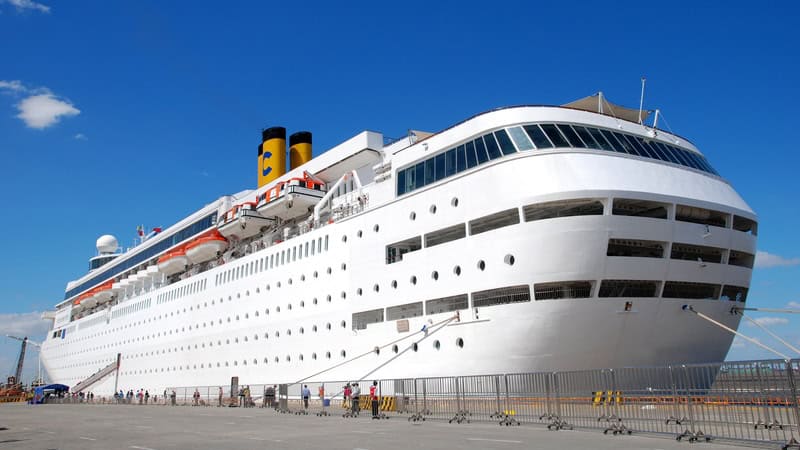 A big cruise ship at dock. By Ktree.