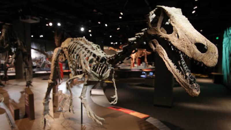 Ultimate Dinosaurs coming to SMV in Richmond, Virginia, listed in What's Booming, May 29