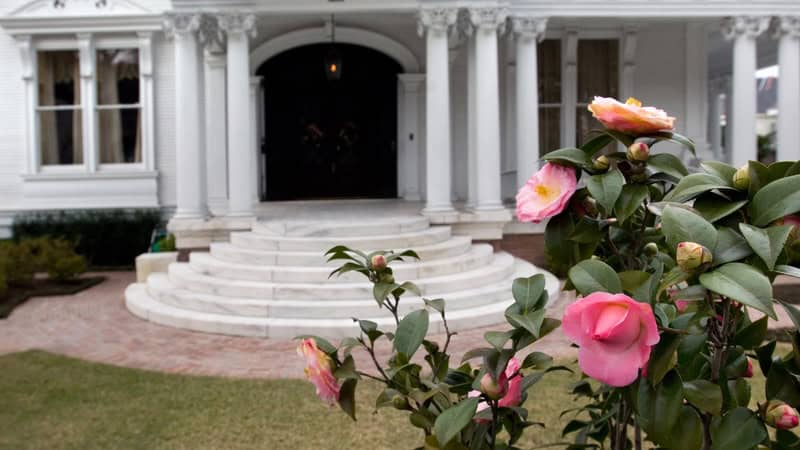 Head to the Garden District, with stately homes like this, to experience New Orleans for grownups