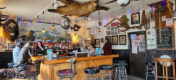 Fairview Inn, an old bar with a grizzly pelt, buffalo head, and other symbols of Alaskan outdoor life. In Talkeetna, Alaska - image by Malika Bowling