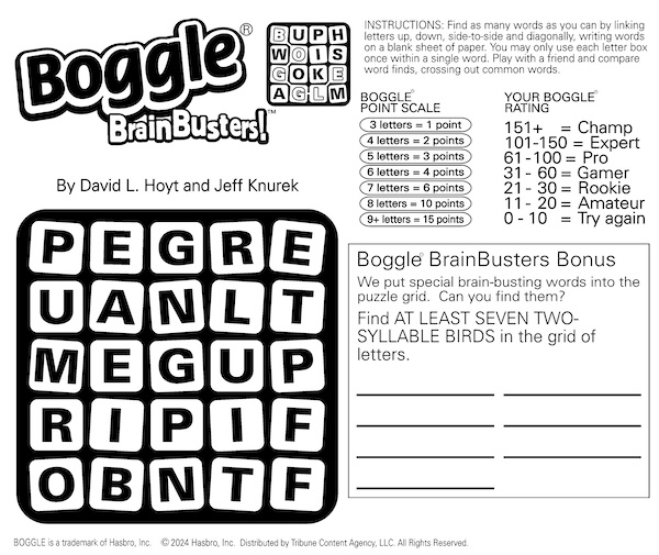 Boggle on the Fly: Mixed up letters on a Boggle cube - look for two-syllable birds