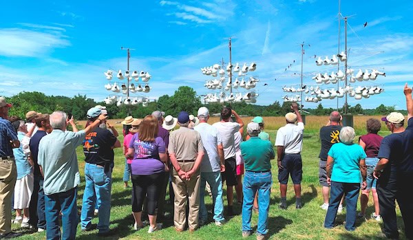 Purple Martin Field Day - a crowd watches busy purple Martin houses from a distance. For June 6 what's booming