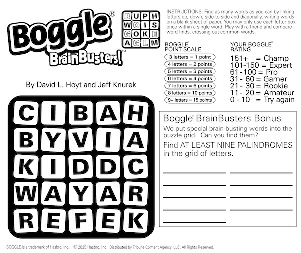 A Boggle search for palindromes - the words search puzzle with mixed-up letters in a square