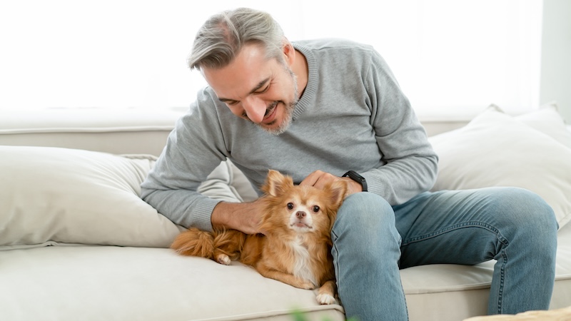 A man on his sofa loving on his small dog, knowing that dogs boost your health.