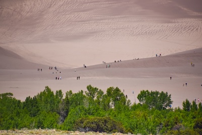 Climbers tackle the dunes at Great Sand Dunes National Park after crossing the creek, hidden by bushes - Nick Thomas