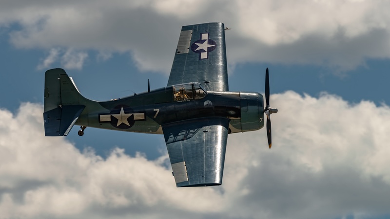 FM Wildcat plane. By Jgorzynik