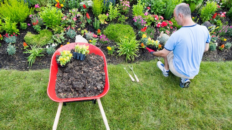 A man gardening in peace.