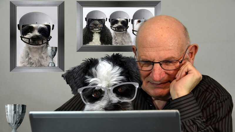 A man and dog using a laptop. Humorous image of dog with sunglasses. For a fruitful Boggle puzzle. Image by Gunold
