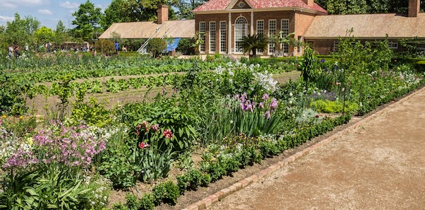 Garden at Mount Vernon, by Alexandre Fagundes de Fagundes. Used in What's Booming September 4