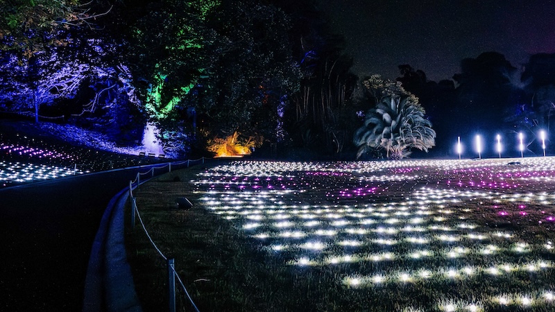 Effervescence: a light installation at the Maymont Garden Glow in Richmond, VA (week of Budget-Friendly Fun newsletter, October 9, 2025)