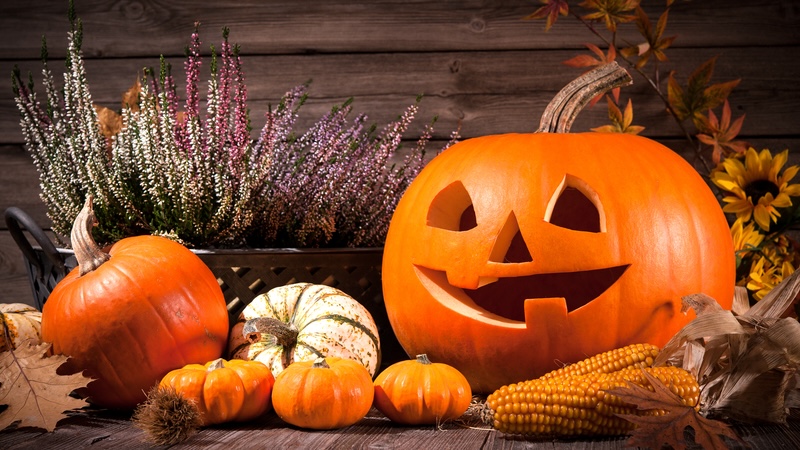 A jack o' lantern, other small pumpkins, and other fall decor. For What’s Booming in Richmond, Virginia, October 30 to November 6, 2025.