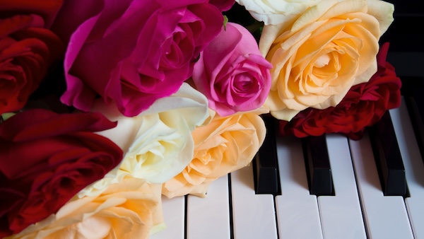 Roses on a piano keyboard