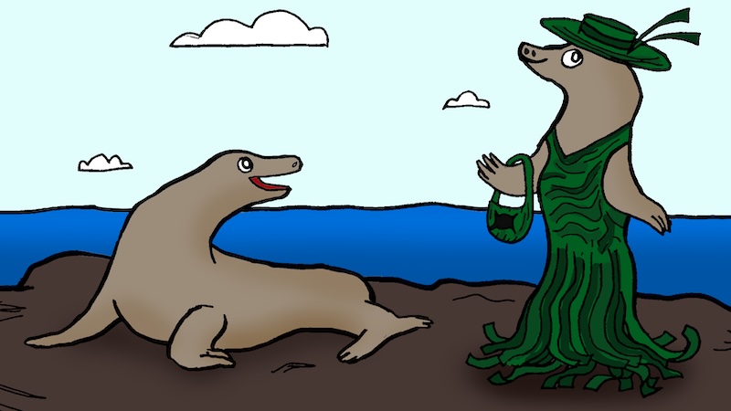 Name That Cartoon Caption: October 2025 - One seal talks to another seal who is dressed in green garb