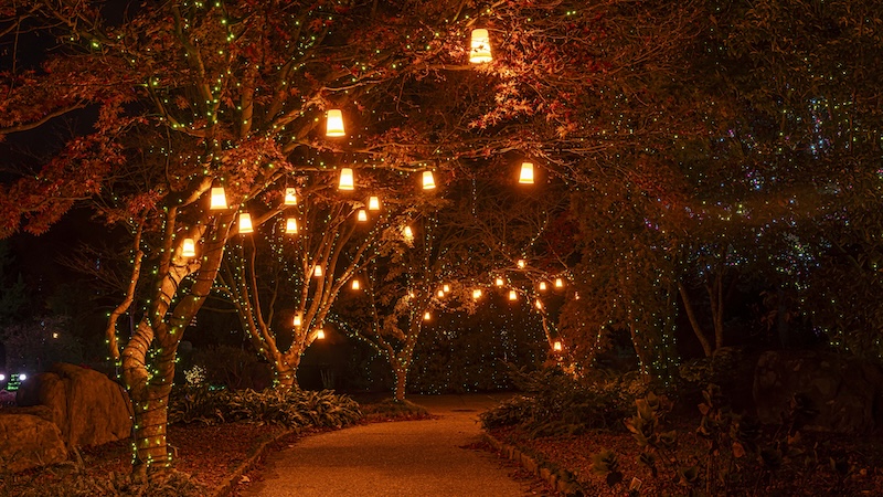 Lewis Ginter Botanical Garden GardenFest of Lights