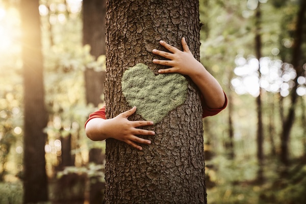 Kid's hands hugging a tree with a heart on it. For What's Booming November 6