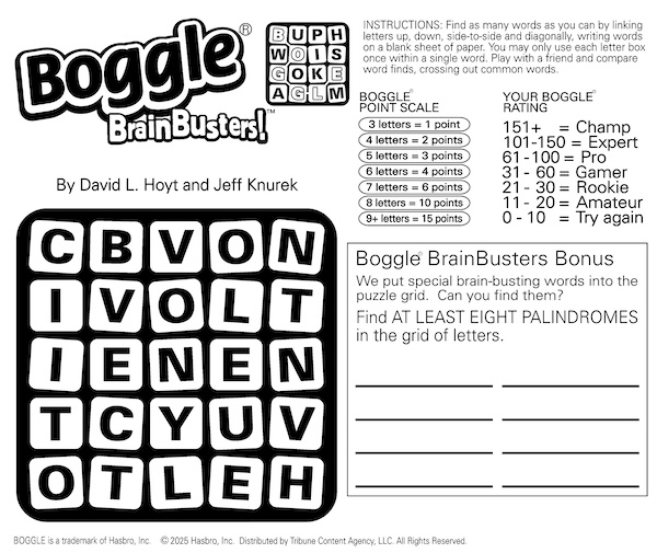 Palindrome boggle puzzle - mixed up letters