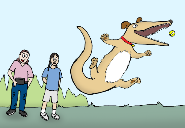 A hybrid animal plays fetch while two people look on, for the January 2026 cartoon caption contest in Boomer. Cartoon by Brian Marsh