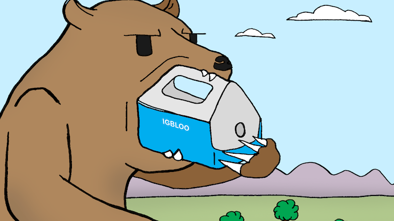 Cartoon of a bear trying to eat a cooler. Think you’re funny? Enter our contest to pit your wits against others or see the winners in Boomer’s Name That Cartoon Caption: December 2021