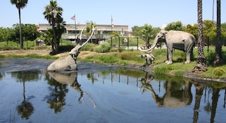 La Brea Tar Pits - REALLY old Hollywood! By Adambooth
