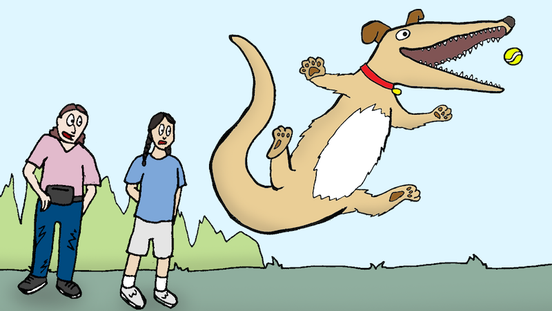 A hybrid animal plays fetch. Name that cartoon caption January 2026.