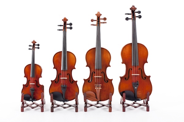 four stringed instrument for a string quartet