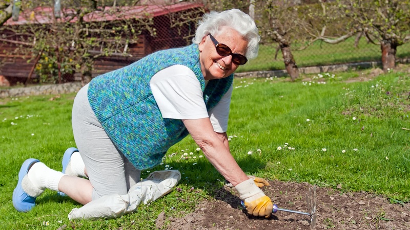 Early spring yard tips include loosening compacted soil. By Johnnydevil