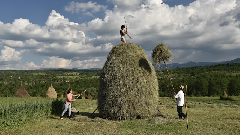 In the Romanian countryside: Whether being tended to by locals, dotting the countryside, or piled onto horse-drawn carts, you’ll find haystacks all over the Romanian region of Maramureș. CREDIT: Cameron Hewitt, Rick Steves’ Europe.