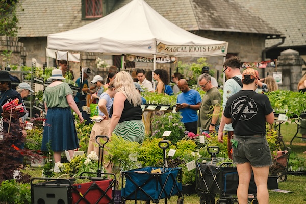 Herbs Galore at Maymont