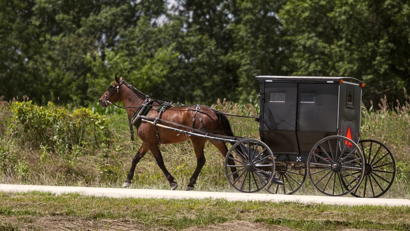 Old World Amish horse and buggy in Missouri. Wayne Mckown