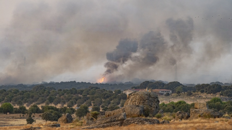Effects of wildfire smoke: Smoke from regional wildfires endangers health even for those not directly in the path of fire. (Dreamstime/TCA)
