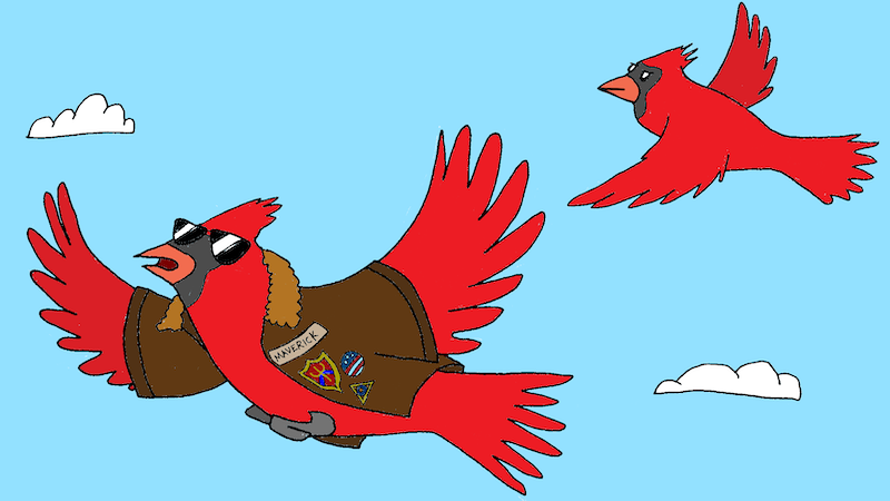 Name That Cartoon Caption: May 2026 - Two male cardinals flying in the sky, one wearing an aviator's jacket with a name tag of "Maverick"