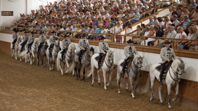At the Royal Andalusian School of Equestrian Art in Jerez, Spain, horses perform an equestrian ballet with choreography and costumes from the 19th century. One of the top European animal shows. CREDIT: Dominic Arizona Bonuccelli, Rick Steves’ Europe.
