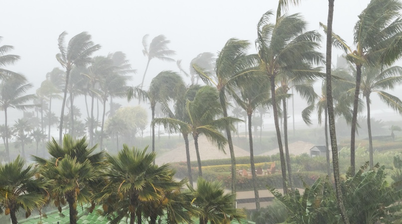 A hurricane or a Kona low on Hawaii or other tropical coastline. Ryan Deberardinis