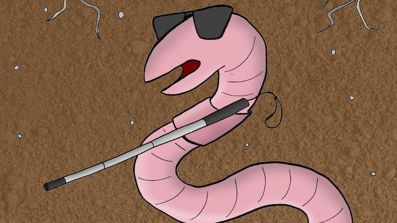 An earthworm cartoon for name that cartoon caption September 2026
