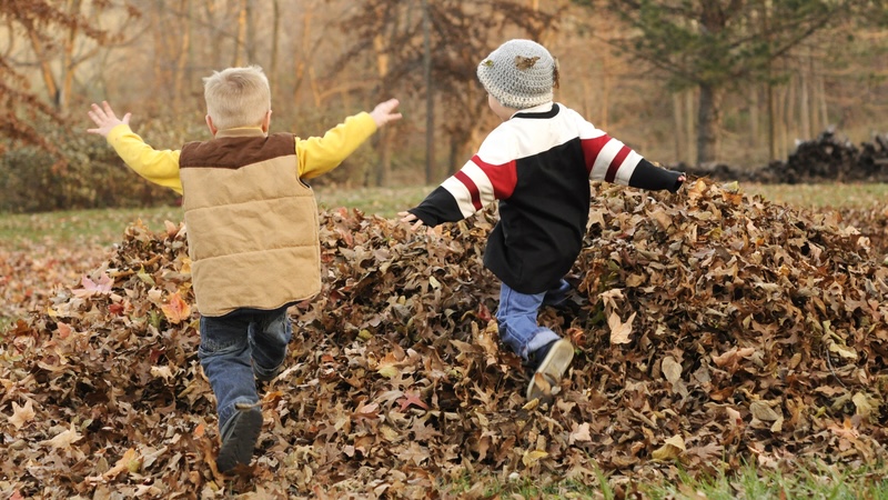 From overgrowth to renewal: two kids jump joyfully into a leaf pile. Vallorie Francis