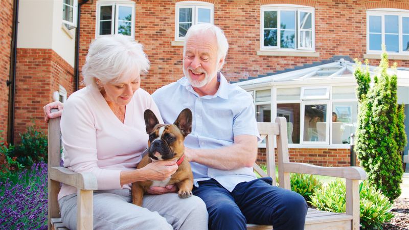 A couple with their French bulldog at the life plan communities, or CCRC