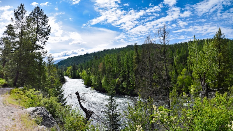 Swan River trail is a beautiful place to take a hike in Bigfork, Montana