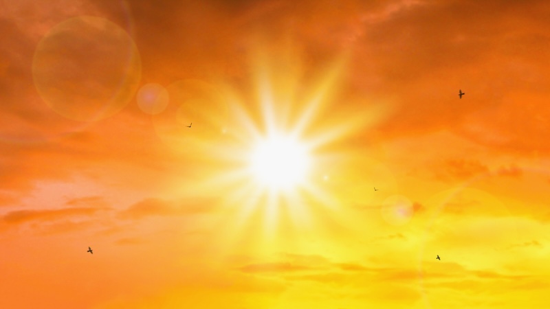 A woman wants to escape the Florida heat and the hot sun. Credit: Lemonsoup whangchom.